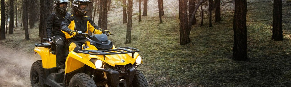 2018 Can-am® Outlander L Max for sale in Roseville Powersports, Roseville, California